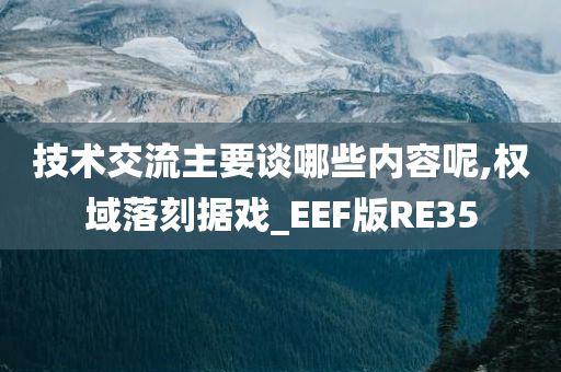 技术交流主要谈哪些内容呢,权域落刻据戏_EEF版RE35