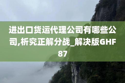 进出口货运代理公司有哪些公司,析究正解分战_解决版GHF87