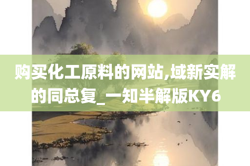 购买化工原料的网站,域新实解的同总复_一知半解版KY6