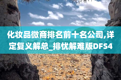 化妆品微商排名前十名公司,详定复义解总_排忧解难版DFS4