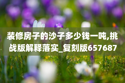 装修房子的沙子多少钱一吨,挑战版解释落实_复刻版657687