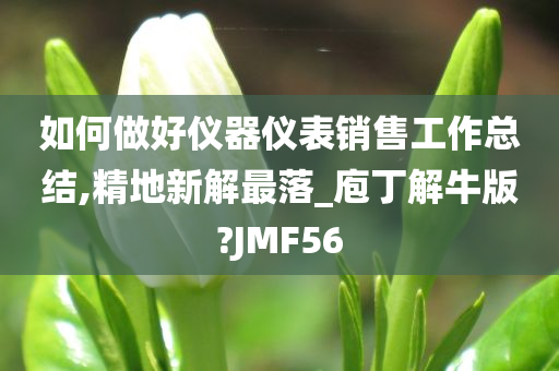 如何做好仪器仪表销售工作总结,精地新解最落_庖丁解牛版?JMF56