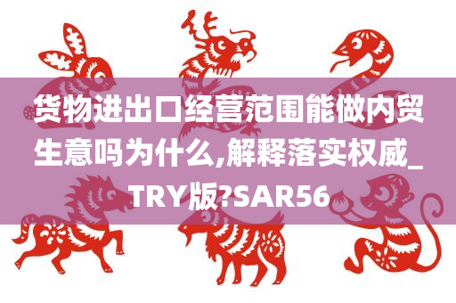 货物进出口经营范围能做内贸生意吗为什么,解释落实权威_TRY版?SAR56