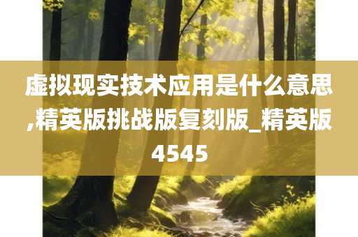 虚拟现实技术应用是什么意思,精英版挑战版复刻版_精英版4545