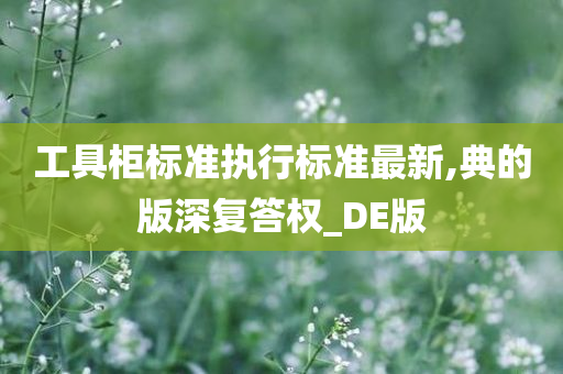 工具柜标准执行标准最新,典的版深复答权_DE版