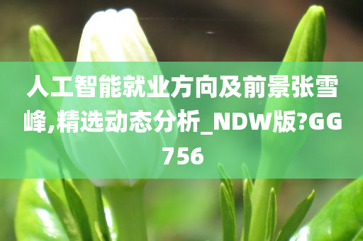 人工智能就业方向及前景张雪峰,精选动态分析_NDW版?GG756