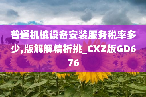 普通机械设备安装服务税率多少,版解解精析挑_CXZ版GD676