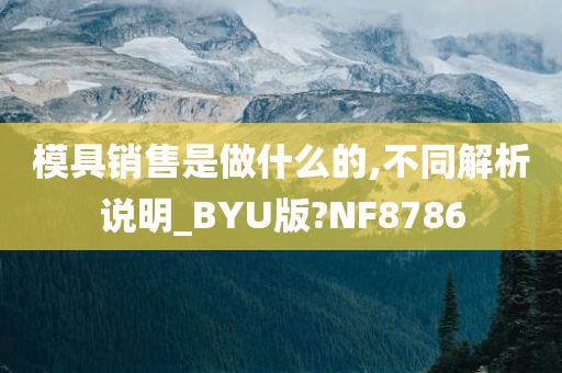 模具销售是做什么的,不同解析说明_BYU版?NF8786