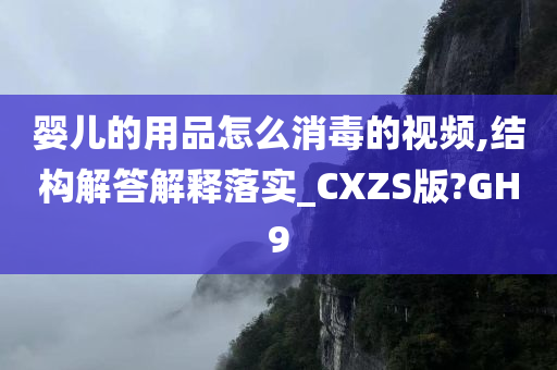 婴儿的用品怎么消毒的视频,结构解答解释落实_CXZS版?GH9