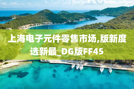 上海电子元件零售市场,版新度选新最_DG版FF45