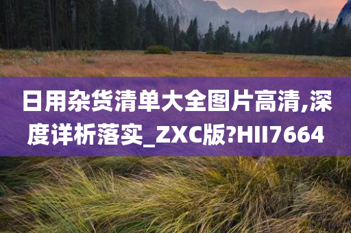 日用杂货清单大全图片高清,深度详析落实_ZXC版?HII7664