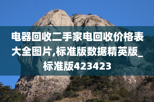 电器回收二手家电回收价格表大全图片,标准版数据精英版_标准版423423