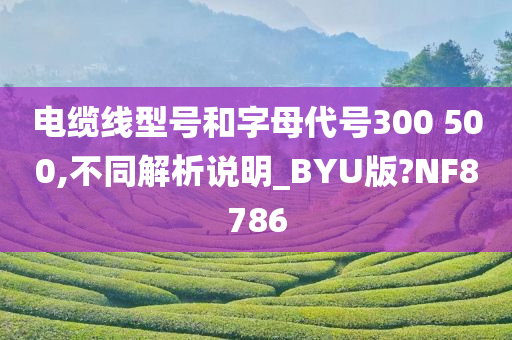 电缆线型号和字母代号300 500,不同解析说明_BYU版?NF8786