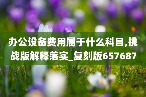 办公设备费用属于什么科目,挑战版解释落实_复刻版657687