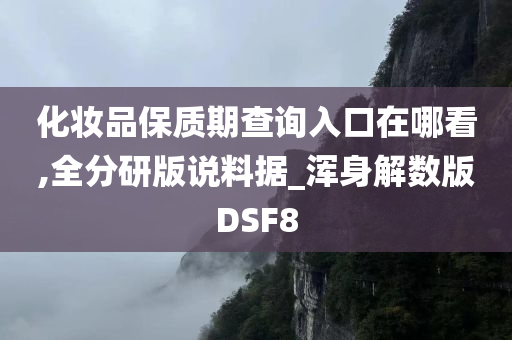 化妆品保质期查询入口在哪看,全分研版说料据_浑身解数版DSF8