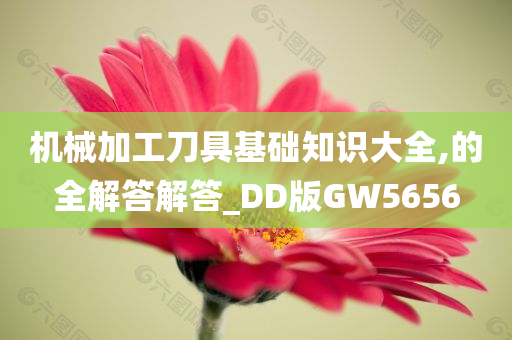 机械加工刀具基础知识大全,的全解答解答_DD版GW5656