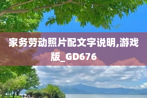 家务劳动照片配文字说明,游戏版_GD676