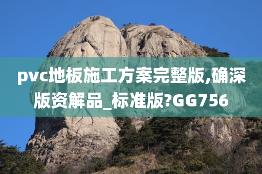 pvc地板施工方案完整版,确深版资解品_标准版?GG756