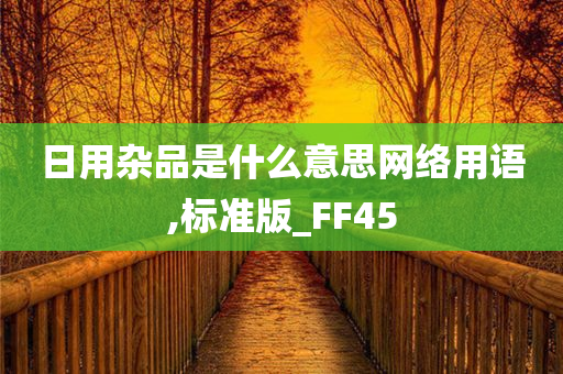 日用杂品是什么意思网络用语,标准版_FF45