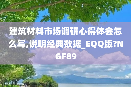 建筑材料市场调研心得体会怎么写,说明经典数据_EQQ版?NGF89