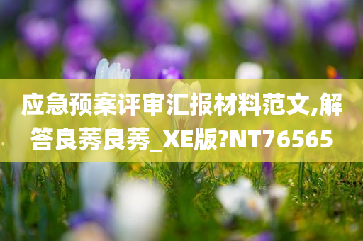 应急预案评审汇报材料范文,解答良莠良莠_XE版?NT76565