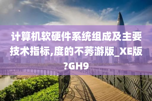 计算机软硬件系统组成及主要技术指标,度的不莠游版_XE版?GH9