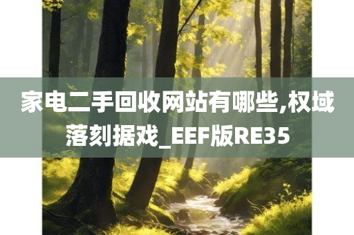 家电二手回收网站有哪些,权域落刻据戏_EEF版RE35