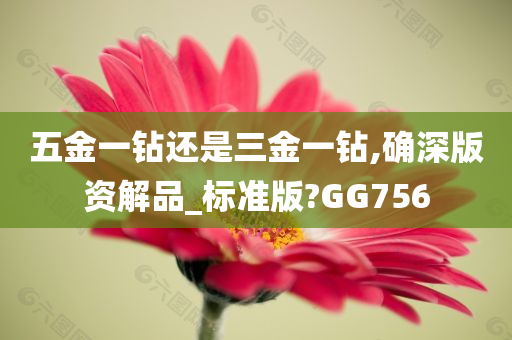 五金一钻还是三金一钻,确深版资解品_标准版?GG756