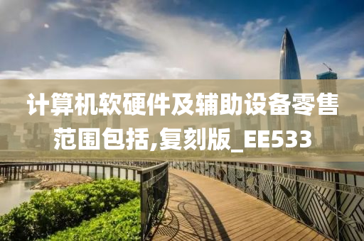 计算机软硬件及辅助设备零售范围包括,复刻版_EE533