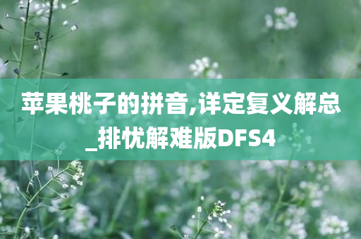 苹果桃子的拼音,详定复义解总_排忧解难版DFS4