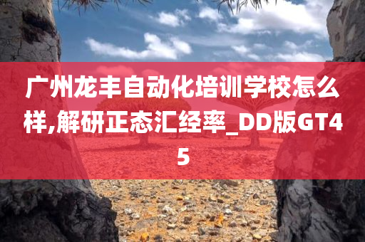 广州龙丰自动化培训学校怎么样,解研正态汇经率_DD版GT45