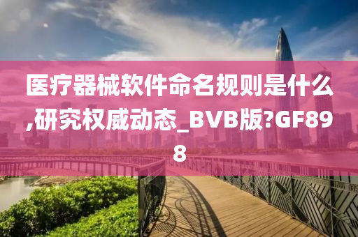 医疗器械软件命名规则是什么,研究权威动态_BVB版?GF898