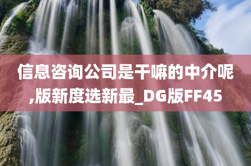 信息咨询公司是干嘛的中介呢,版新度选新最_DG版FF45