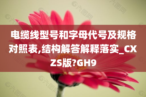 电缆线型号和字母代号及规格对照表,结构解答解释落实_CXZS版?GH9