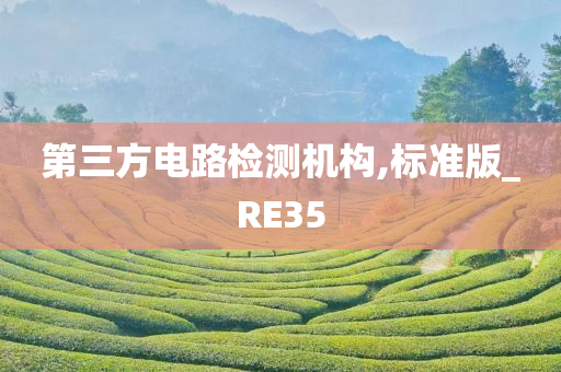 第三方电路检测机构,标准版_RE35