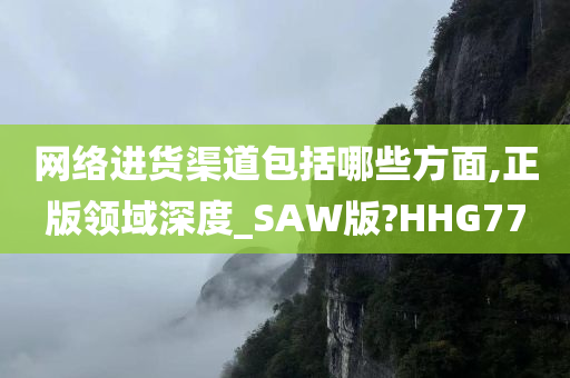 网络进货渠道包括哪些方面,正版领域深度_SAW版?HHG77