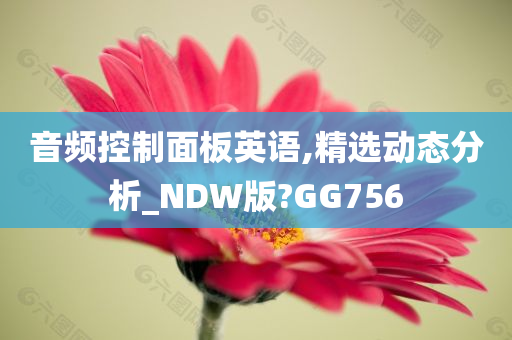 音频控制面板英语,精选动态分析_NDW版?GG756