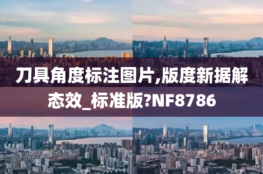 刀具角度标注图片,版度新据解态效_标准版?NF8786