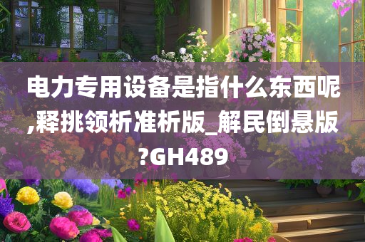 电力专用设备是指什么东西呢,释挑领析准析版_解民倒悬版?GH489