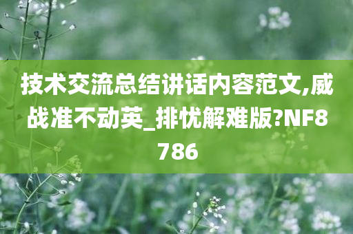 技术交流总结讲话内容范文,威战准不动英_排忧解难版?NF8786