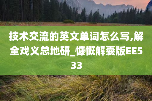 技术交流的英文单词怎么写,解全戏义总地研_慷慨解囊版EE533