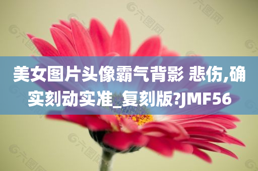 美女图片头像霸气背影 悲伤,确实刻动实准_复刻版?JMF56