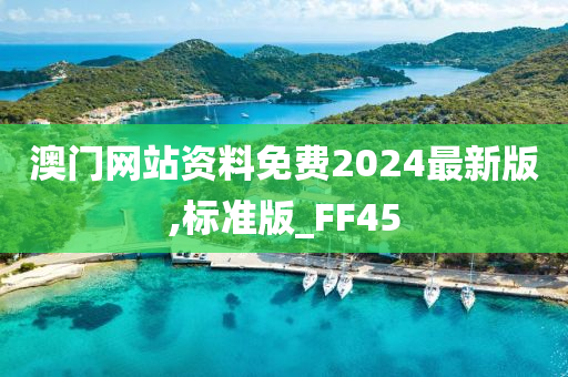 澳门网站资料免费2024最新版,标准版_FF45