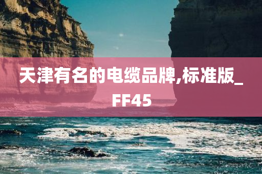 天津有名的电缆品牌,标准版_FF45