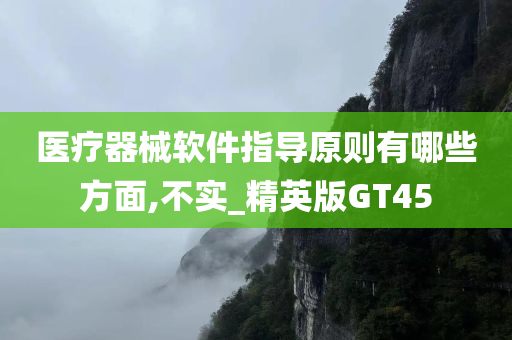 医疗器械软件指导原则有哪些方面,不实_精英版GT45