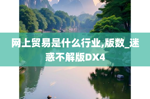 网上贸易是什么行业,版数_迷惑不解版DX4