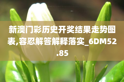 新澳门彩历史开奖结果走势图表,容忍解答解释落实_6DM52.85