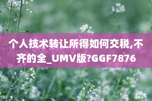 个人技术转让所得如何交税,不齐的全_UMV版?GGF7876