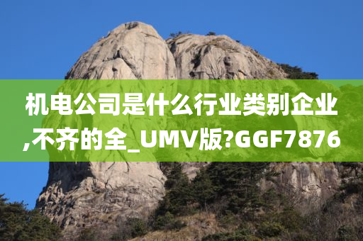 机电公司是什么行业类别企业,不齐的全_UMV版?GGF7876