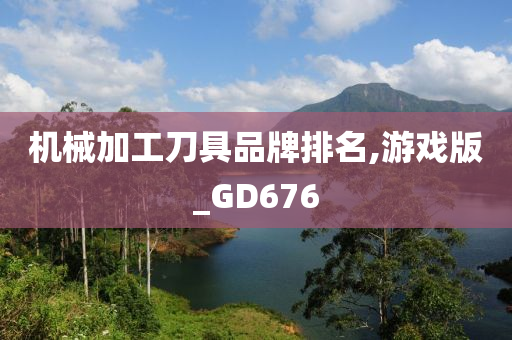 机械加工刀具品牌排名,游戏版_GD676